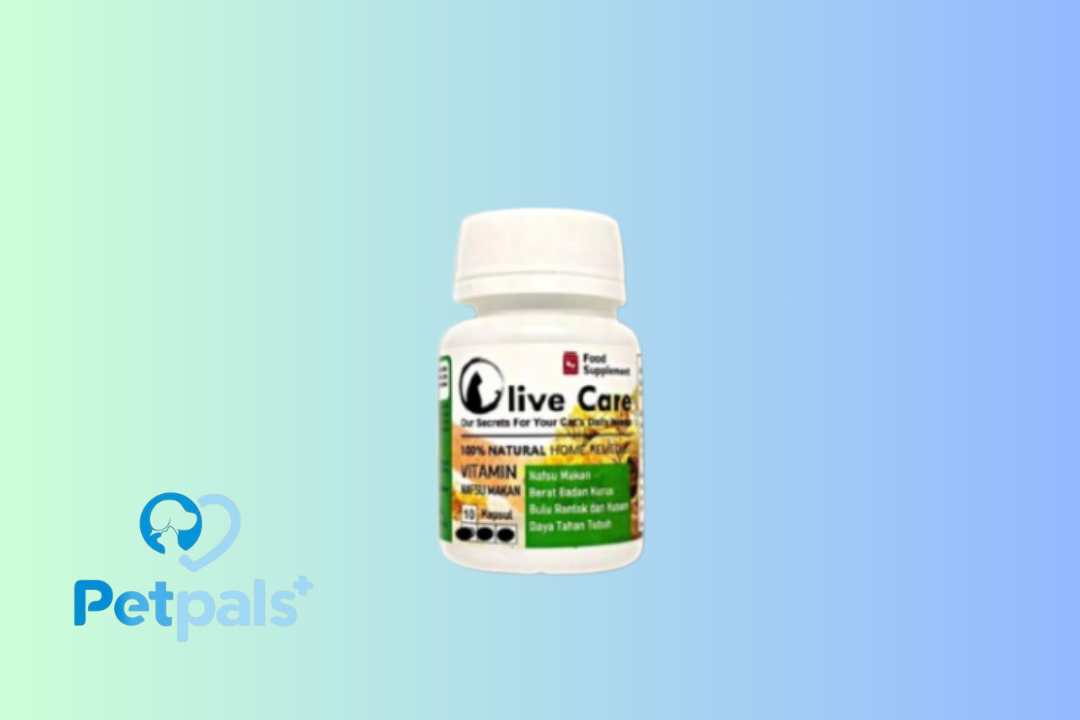 Olive Care Green Vit Nafsu Makan 10 Kapsul